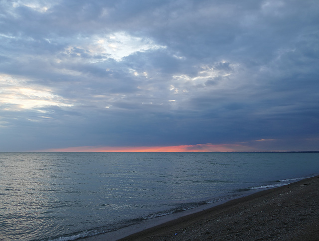 Our first evening near Point Pelee, Ontario