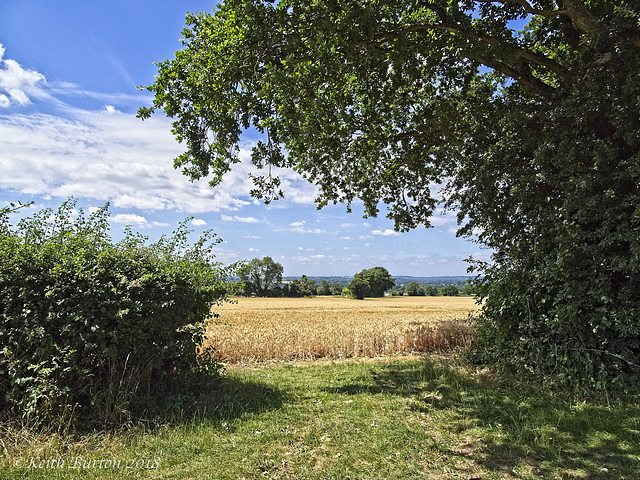 View from Damson Hill