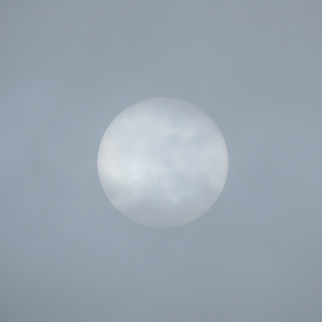 The sun through yesterday morning's fog
