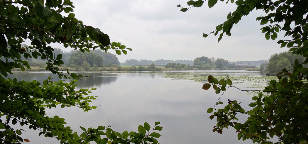 Der Bommer Weiher bei Regen