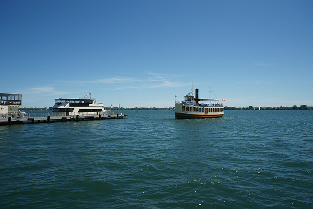 Oriole Approaching Toronto