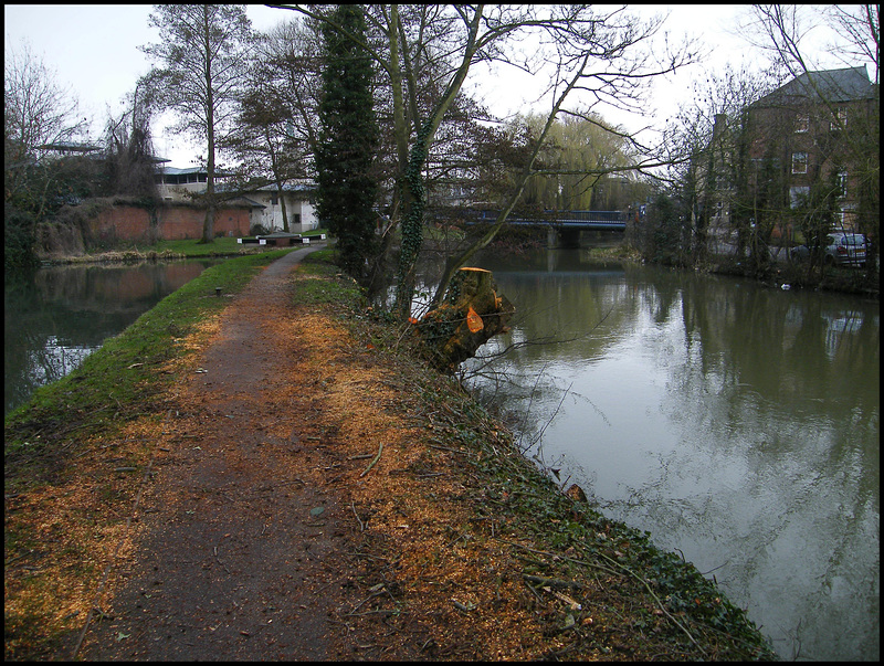 denuded towpath