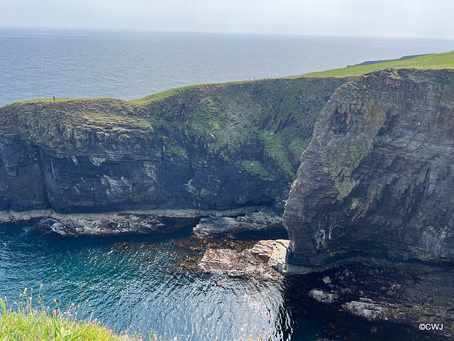 Whaligoe Haven