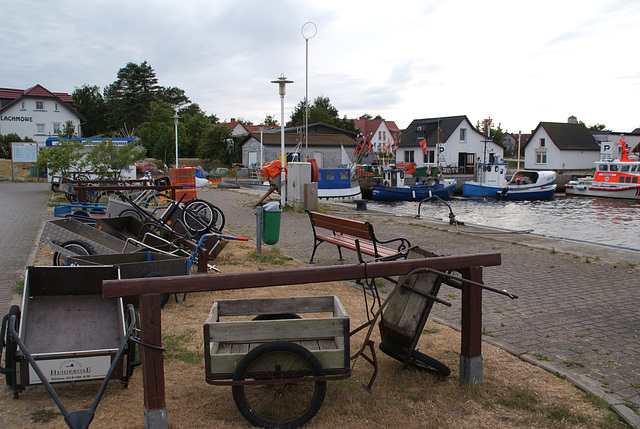 im Hafen von Vitte (Hiddensee)