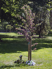 Levengrove Park