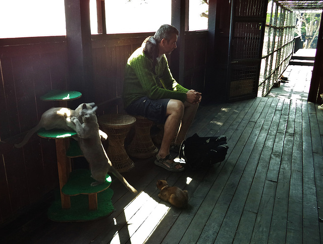 boat trip on Lake Inle