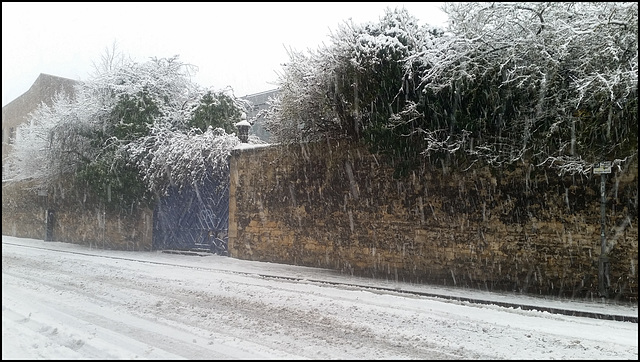 snow on the old infirmary wall