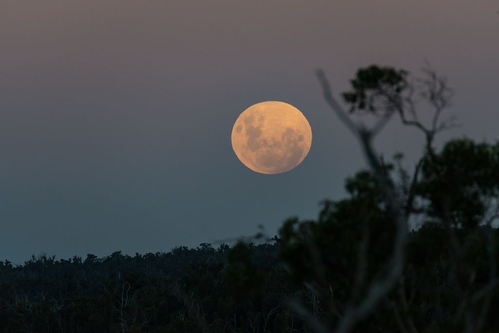 Moon Rise