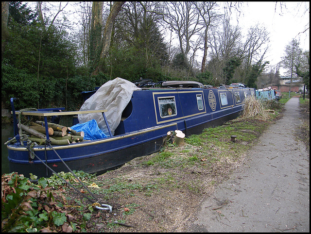 defoliated towpath