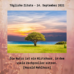 Tägliche Zitate - 14. September 2021