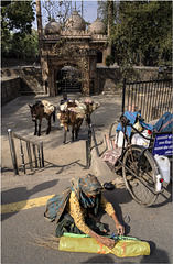 Delhi Street Seller