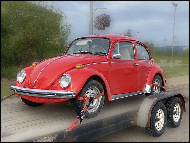 I saw this one in Fort Nelson, BC Canada