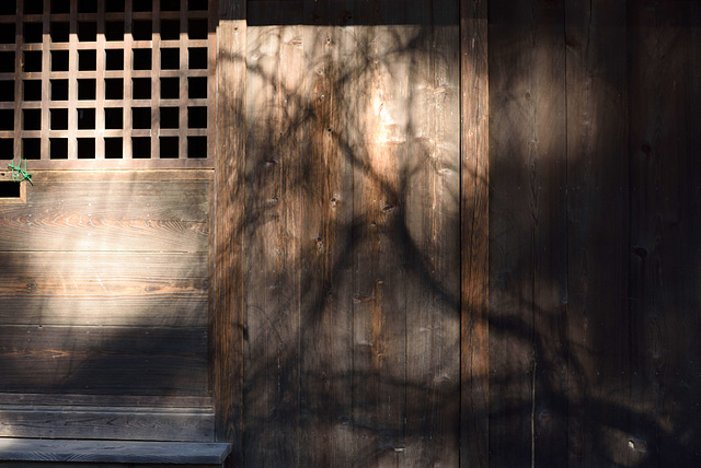 Shadow on a wood wall Shadow on a wood wall