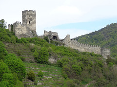 Burgruine an  der Donau