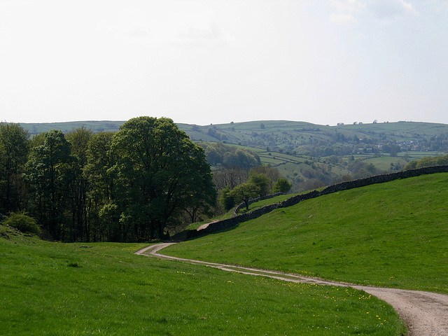 Path leading to Brushfield