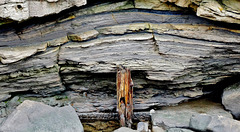 Rock Formations. Seaton Sluice, Northumberland