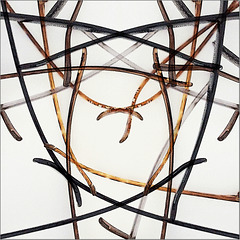 Has anybody seen my  ....... ?