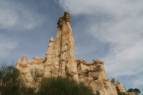 DSC 5418