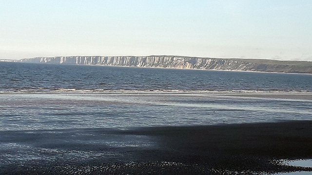Bempton Cliffs from Filey 15th May 2019.