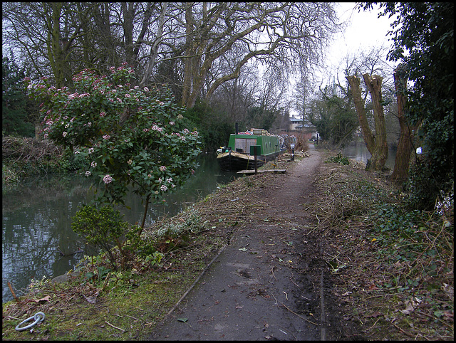 de-greened towpath