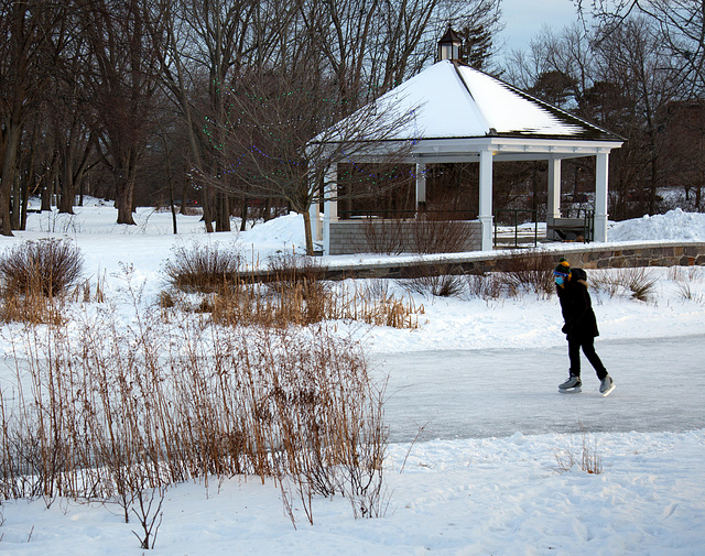 Lone skater