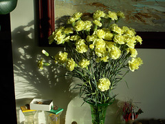flo - yellow carnations