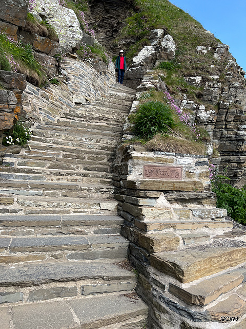 The Whaligoe Steps