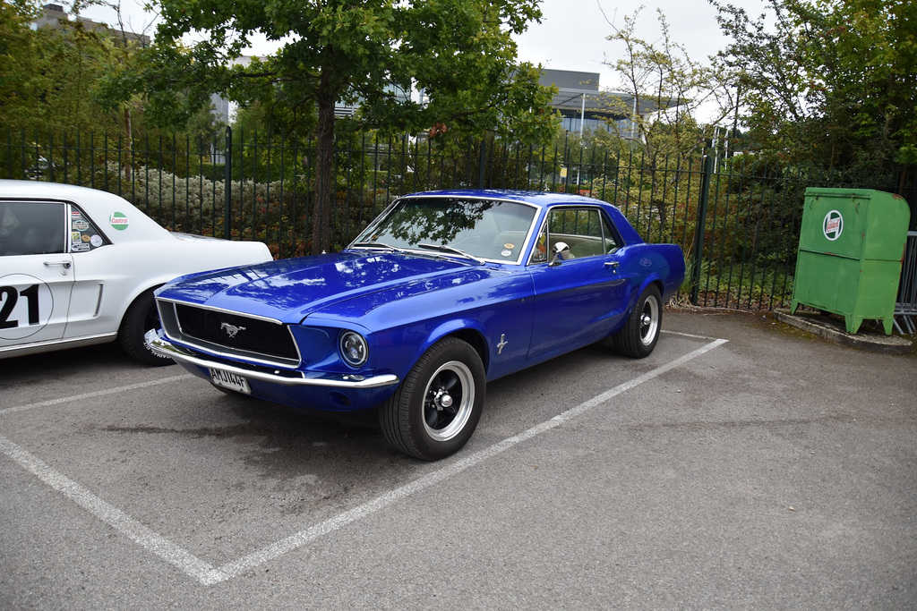 cfbaug312023 (1088)