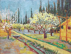 Detail of the Orchard Bordered by Cypresses by Van Gogh (Yale Version) in the Metropolitan Museum of Art, July 2023