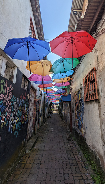 Parapluies en perspective / Colourful umbrella's perspective