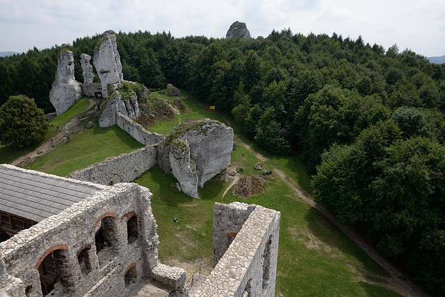 Ogrodzieniec Castle