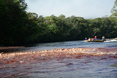 Downstream of the Red River of Churun, Skirting the Rapids