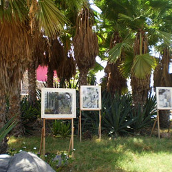 Outdoor paintings display.