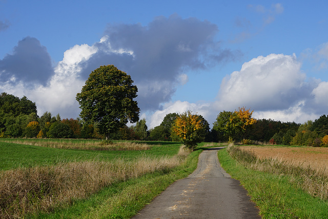 Spaziergang am Krücker