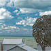 Mers-les-Bains - A charming seaside resort  08