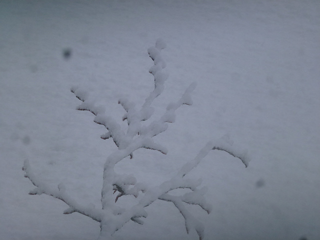 20150221 Raquettes Vercors Col de la Machine (30) al