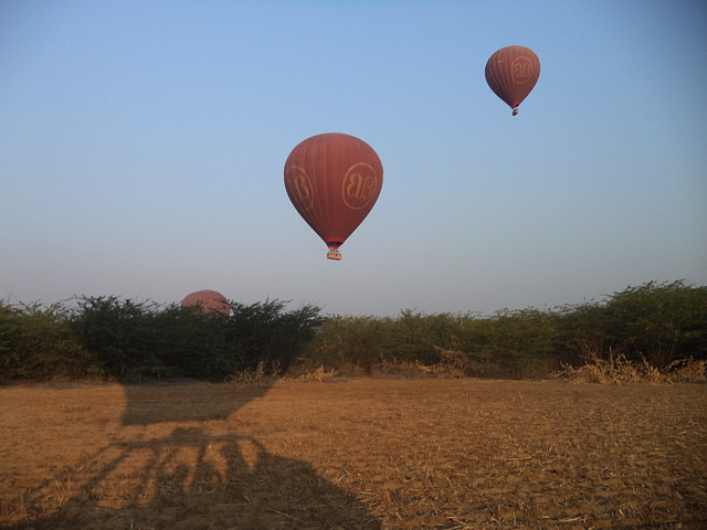 Balloons Over Bagan