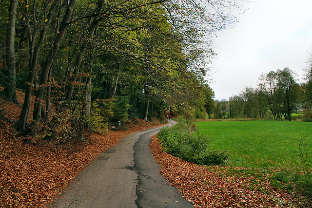 Kreßsieper Weg (Sprockhövel) / 6.11.2022