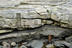 Rock Formations. Seaton Sluice, Northumberland