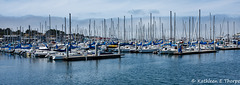 Monterey Fishermans Wharf Marina 002