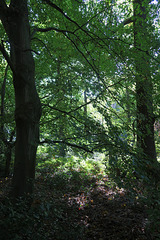 A guided walk round the grounds