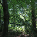 A guided walk round the grounds