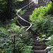 Steps under restoration