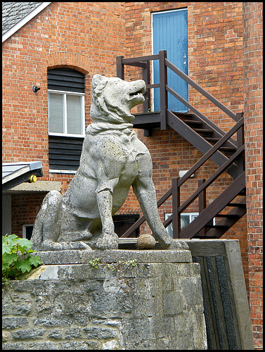 dog by the Castle Mill Stream