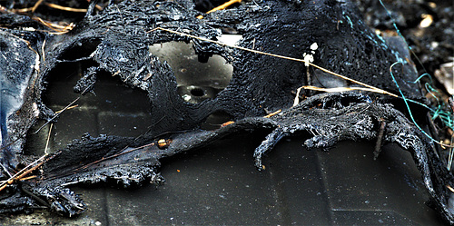 Fire Damaged