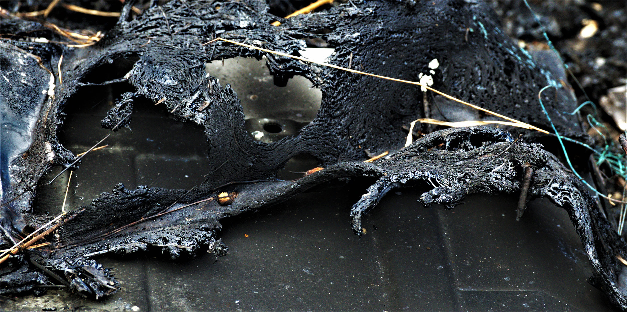 Fire Damaged
