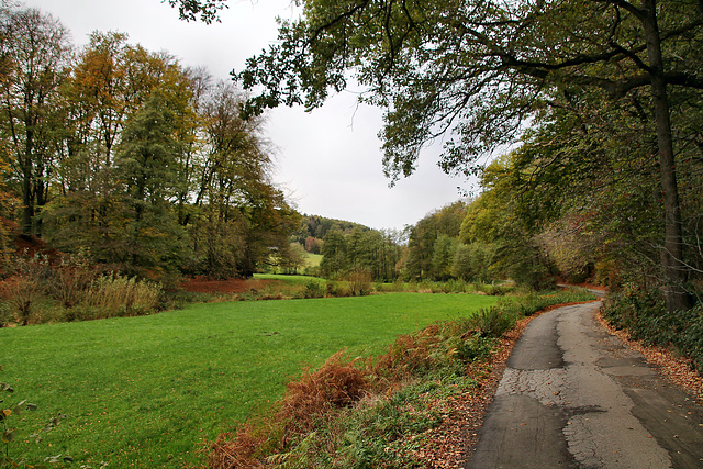 Kreßsieper Weg (Sprockhövel) / 6.11.2022