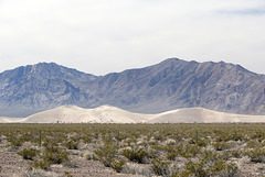 Amargosa Sand Dunes