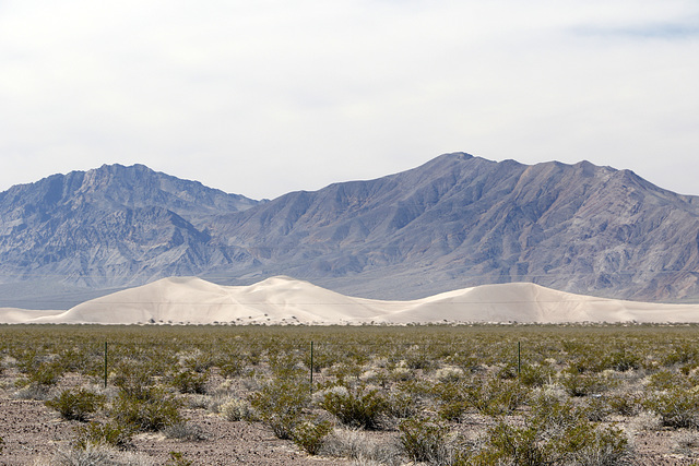 Amargosa Sand Dunes