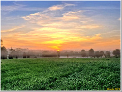 "Morning has broken like the first morning" "Morning has broken like the first morning"